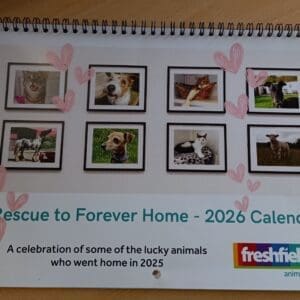 Freshfields Calendar 2026