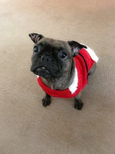 Merry Christmas Everyone!