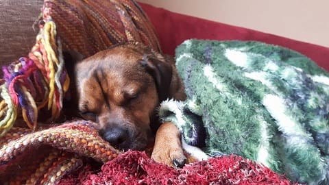 Freshfields Nominated for Top Award!