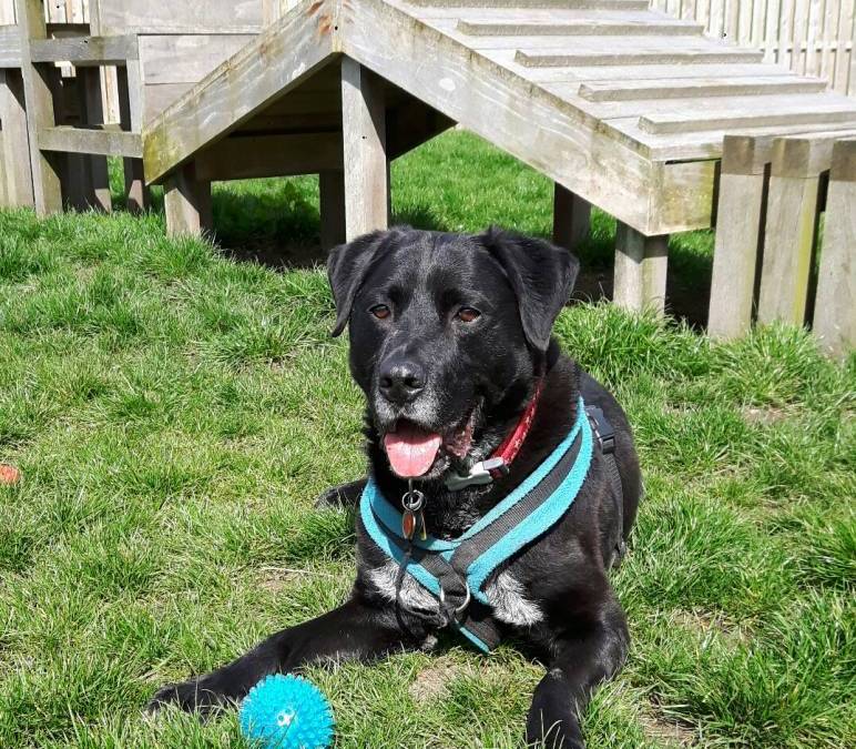 We’ve Got Your Numbers!