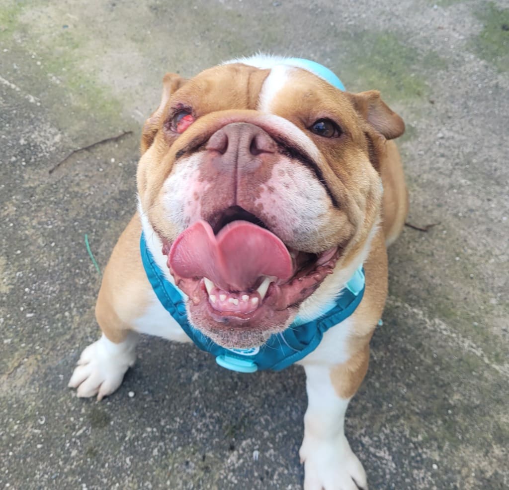 Dior — & Their Health Issues Before Applying Fo