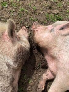 EDITH AND RUPERT JUNE 26