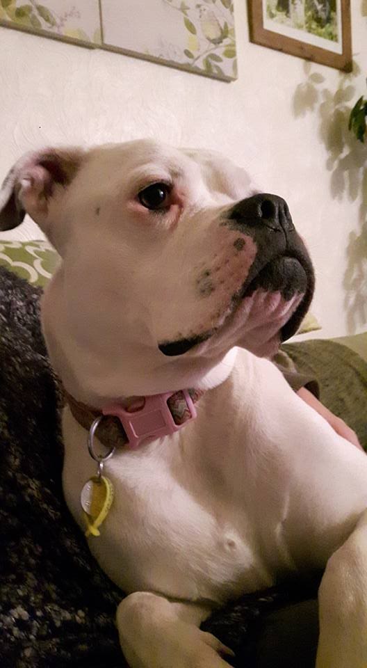 Gareth Gives It Large for Freshfields!