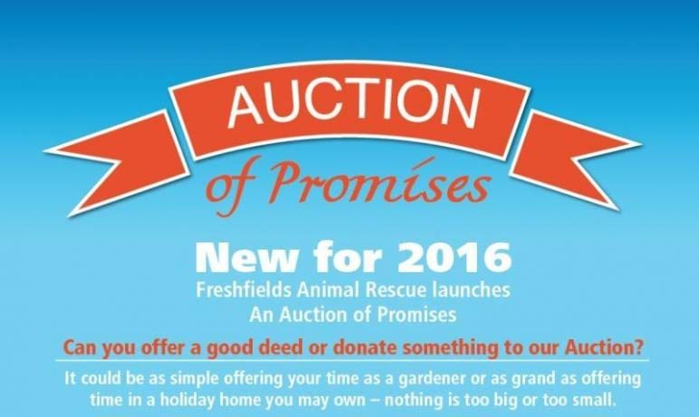 FF_auction-_header