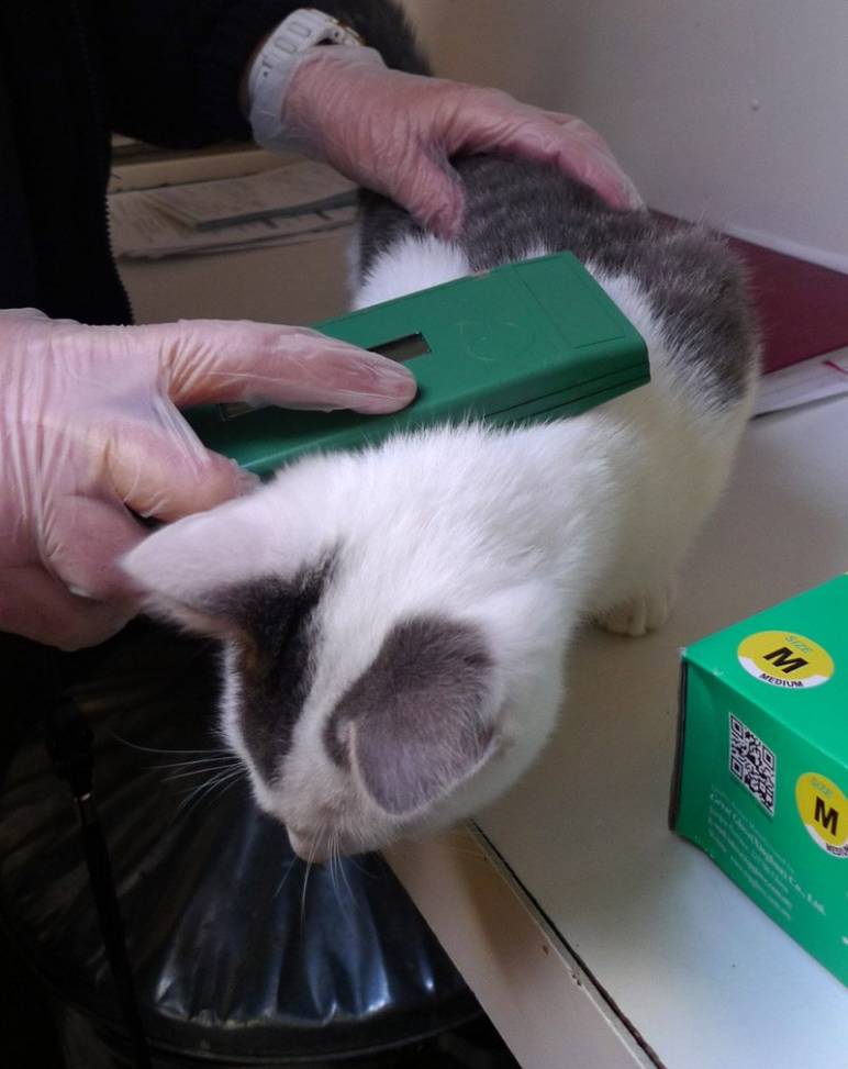 Freshfields Launches Vet Room Appeal