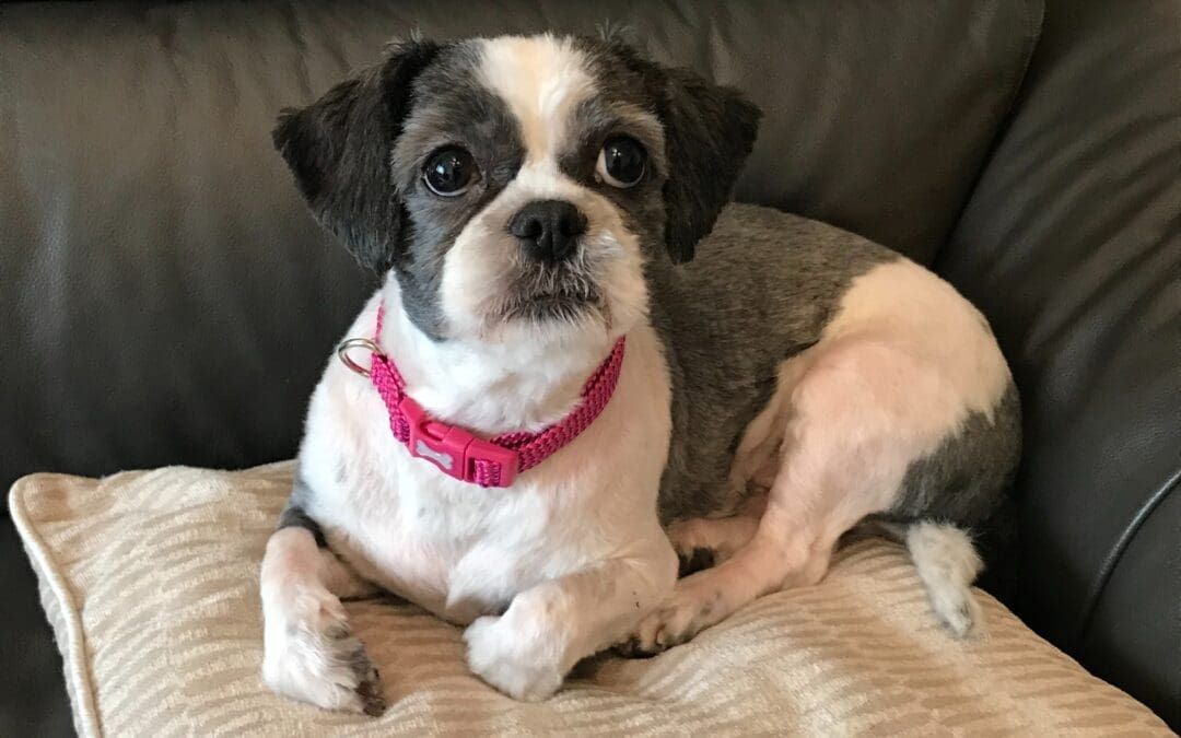 Mimi