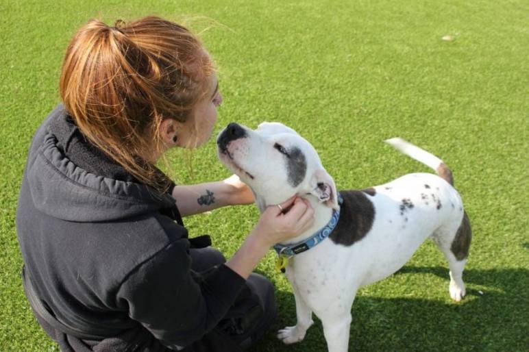 Time of Need appeal: Update