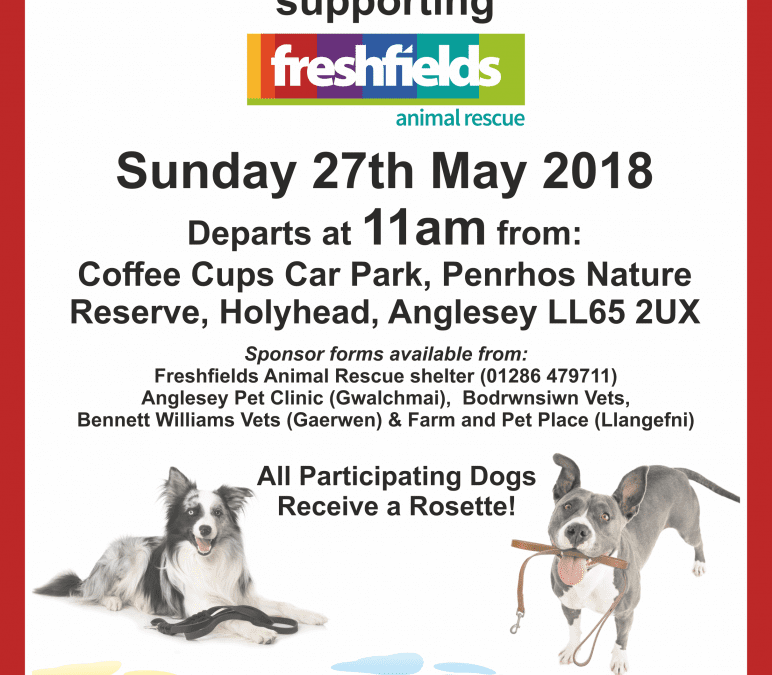 Sponsored Walk for Special Pooches!
