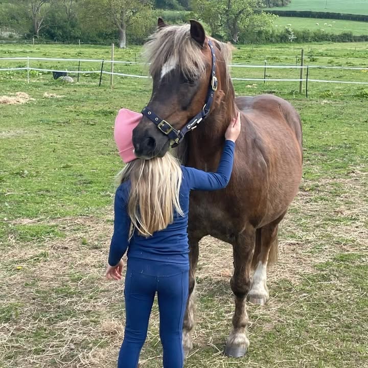 Freshfields Animal Rescue