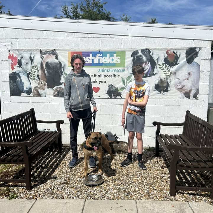 Freshfields Animal Rescue