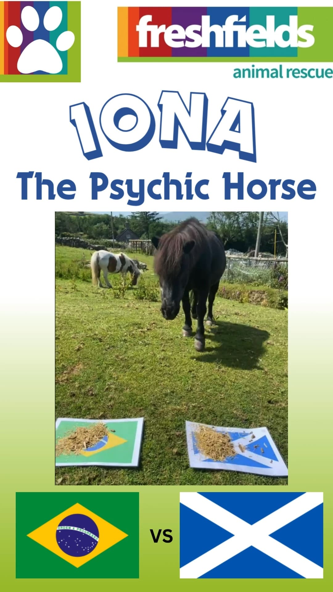 Freshfields Animal Rescue