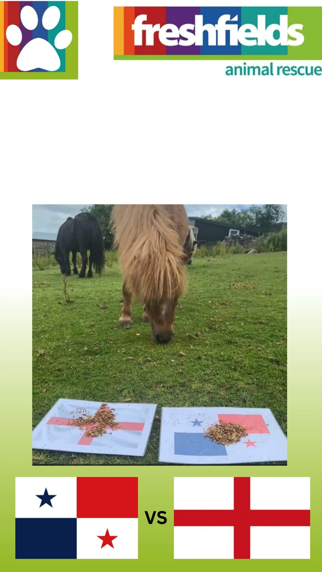 Freshfields Animal Rescue