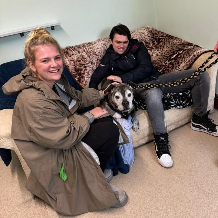 Freshfields Animal Rescue