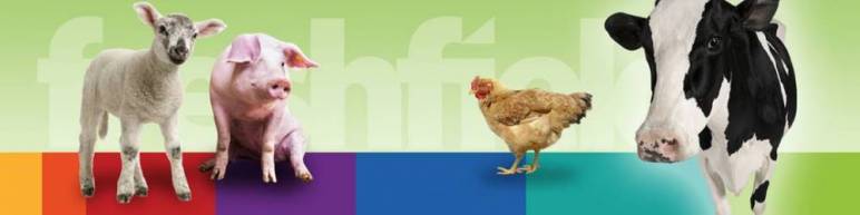 The Great Vegan Challenge