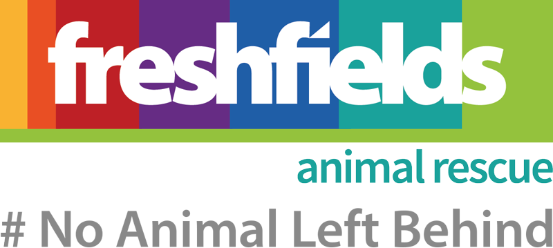 Freshfields Animal Rescue