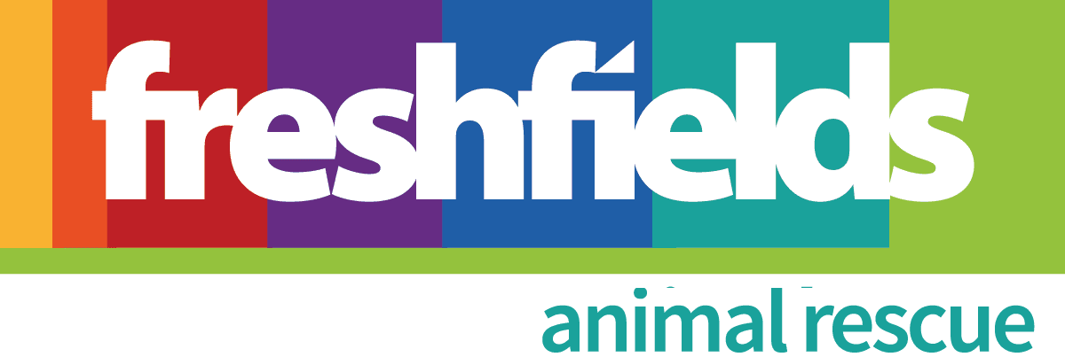 freshfields_logo_timeline
