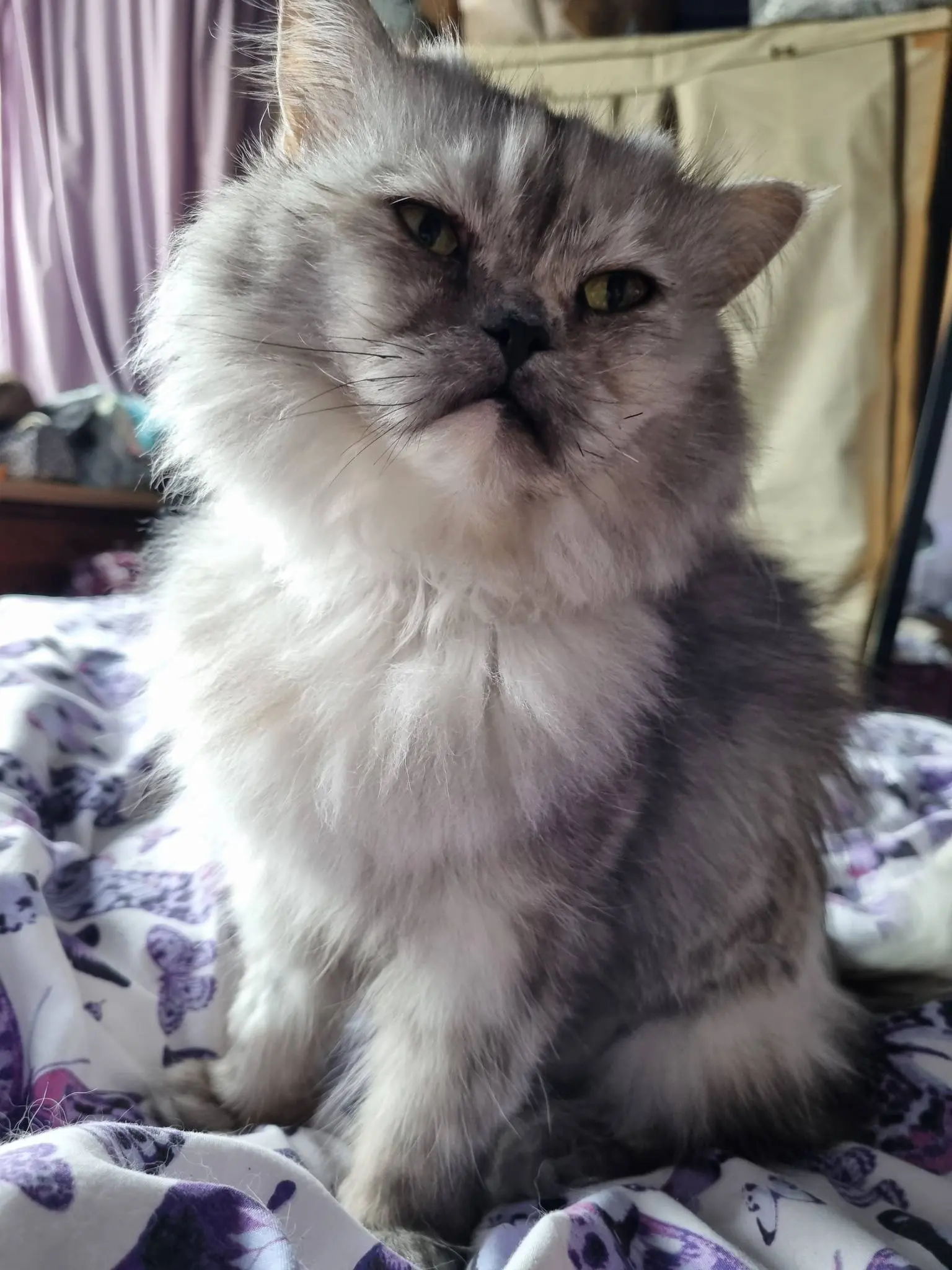 kiki